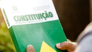 O que é direito constitucional e quais as áreas de atuação