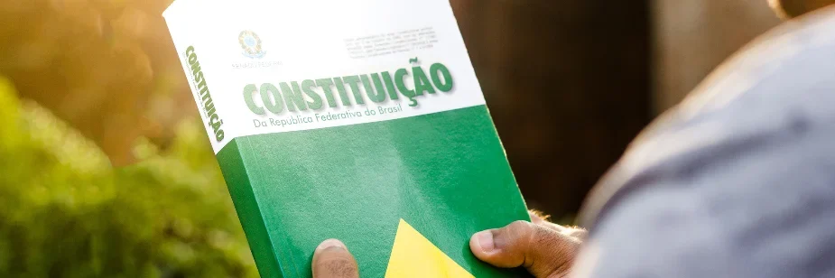 O que é direito constitucional e quais as áreas de atuação