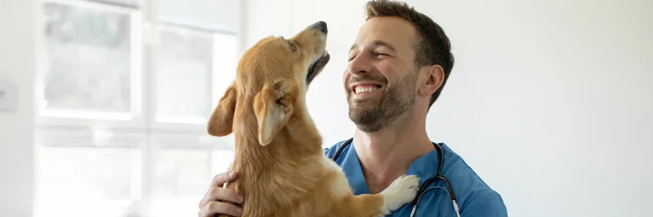 Faculdade de Medicina Veterinária: saiba tudo sobre o curso [MAR/24]